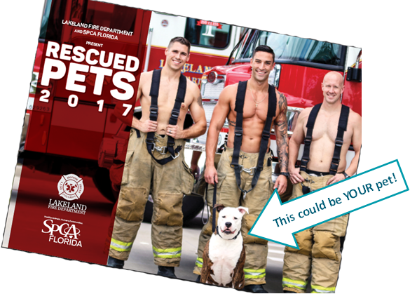 Firefighter Calendar