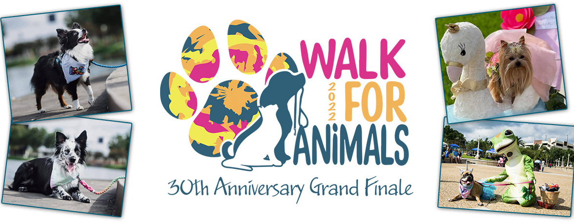 2022 Walk for Animals